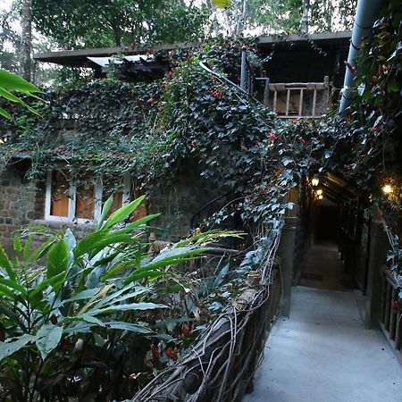 Greenspaces B&B Munnar Luaran gambar