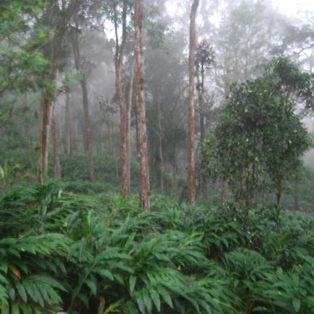 Greenspaces B&B Munnar Luaran gambar
