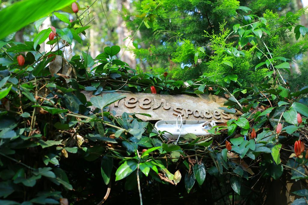 Greenspaces B&B Munnar Luaran gambar