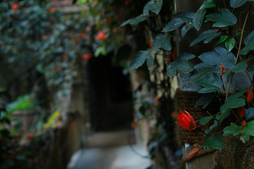 Greenspaces B&B Munnar Luaran gambar
