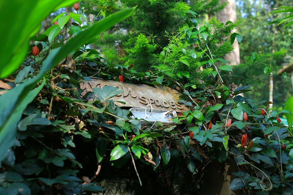 Greenspaces B&B Munnar Luaran gambar