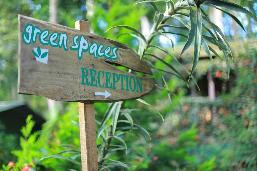 Greenspaces B&B Munnar Luaran gambar