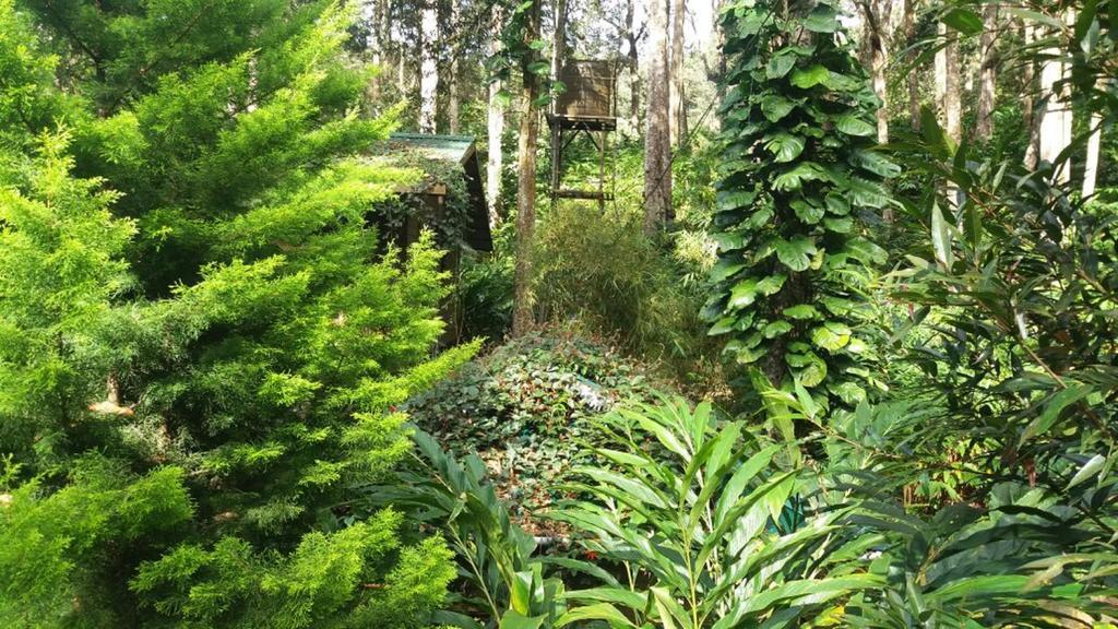 Greenspaces B&B Munnar Luaran gambar