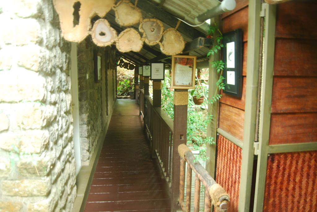 Greenspaces B&B Munnar Luaran gambar