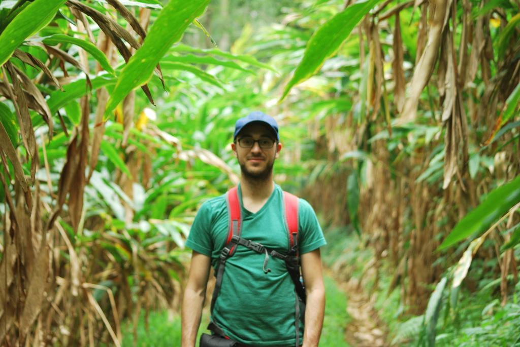 Greenspaces B&B Munnar Luaran gambar