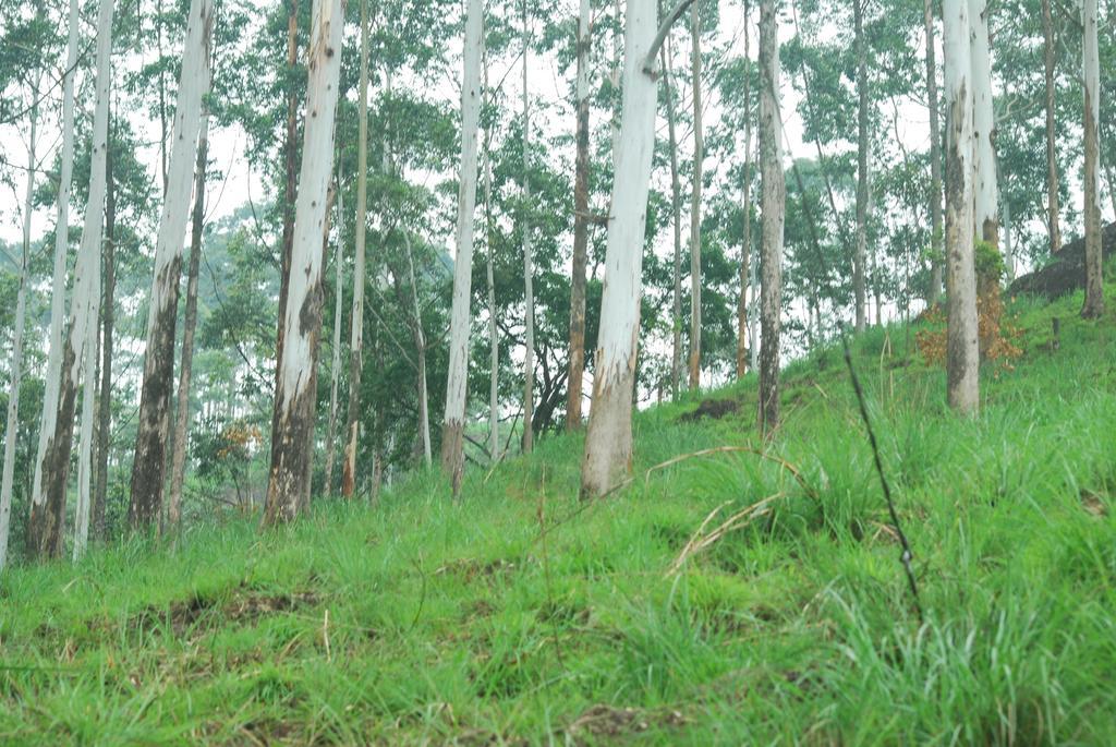 Greenspaces B&B Munnar Luaran gambar
