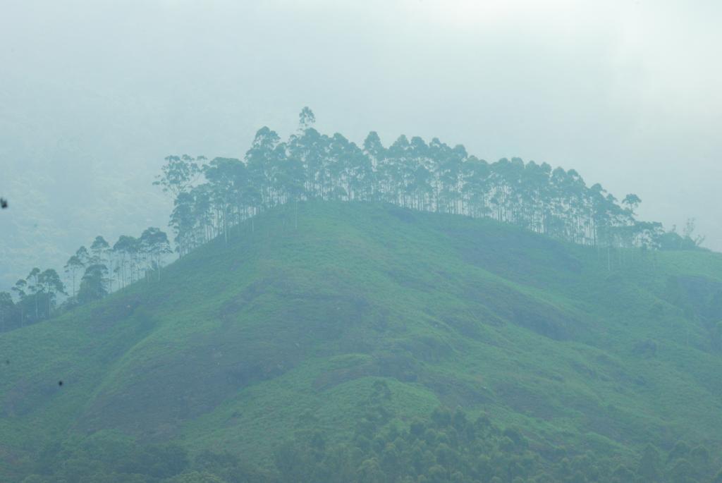 Greenspaces B&B Munnar Luaran gambar